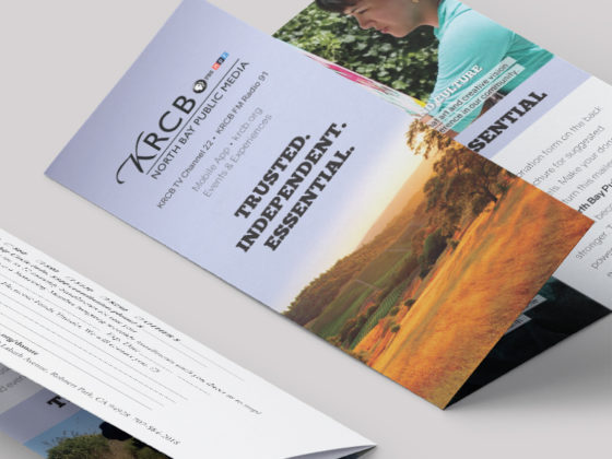 Trifold membership brochure