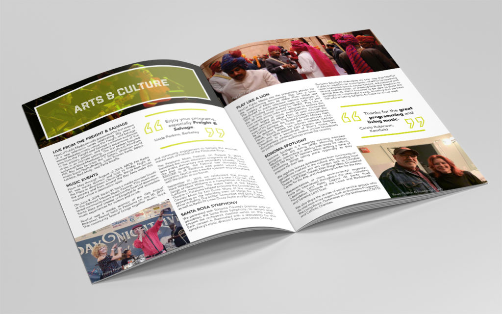 Non-profit annual report